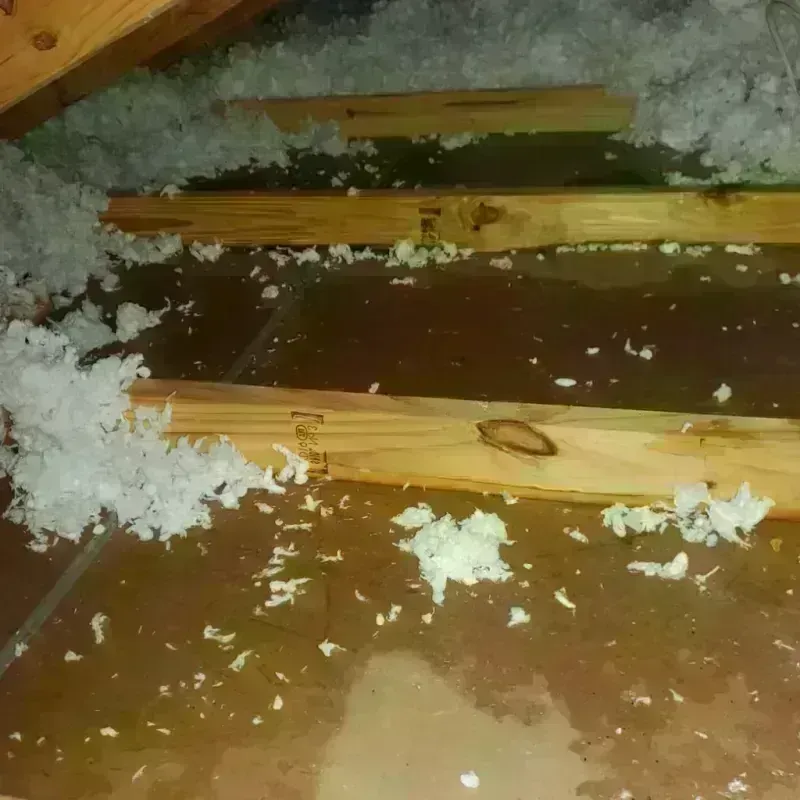 Attic Water Damage in Milan, NH